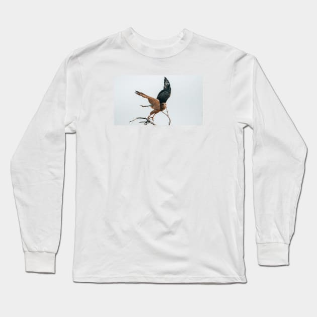 Hawk Long Sleeve T-Shirt by withluke